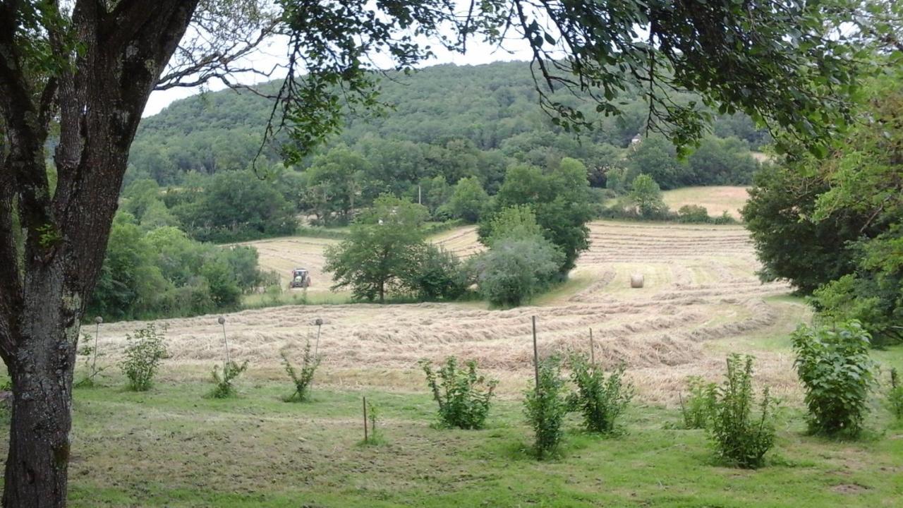 Les Trois Prunelles Saint-Pierre-Toirac Eksteriør billede