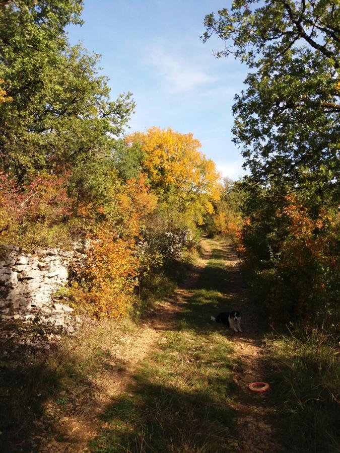 Les Trois Prunelles Saint-Pierre-Toirac Eksteriør billede
