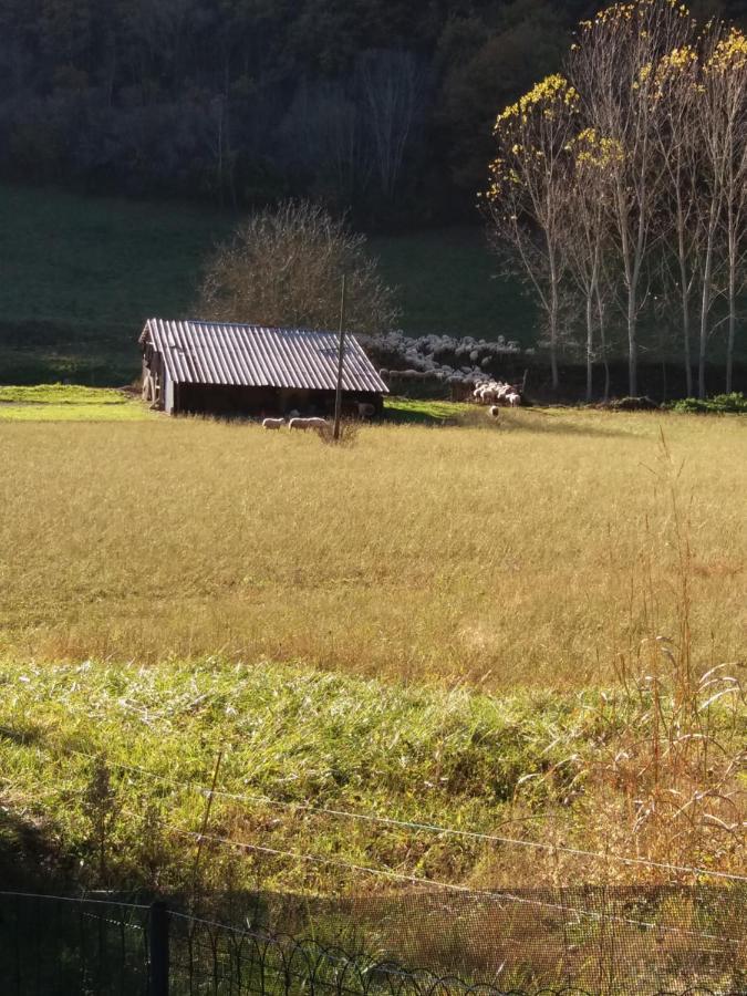 Les Trois Prunelles Saint-Pierre-Toirac Eksteriør billede